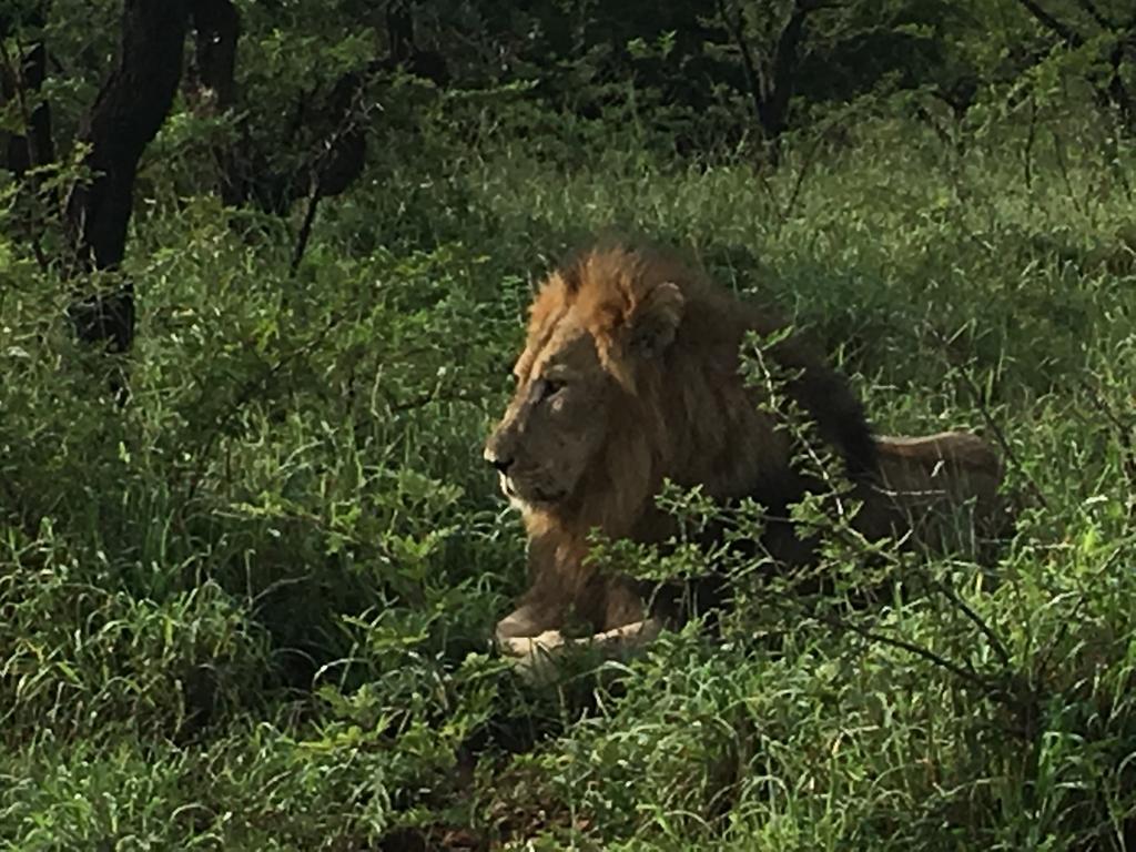 H23 Ezulwini Lodge in Sodwana Bay Zewnętrze zdjęcie