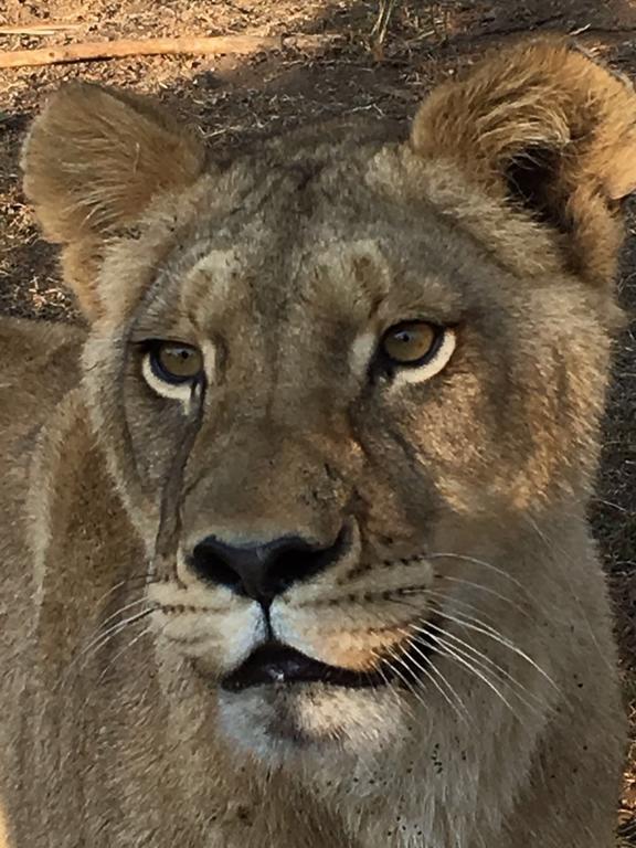 H23 Ezulwini Lodge in Sodwana Bay Zewnętrze zdjęcie