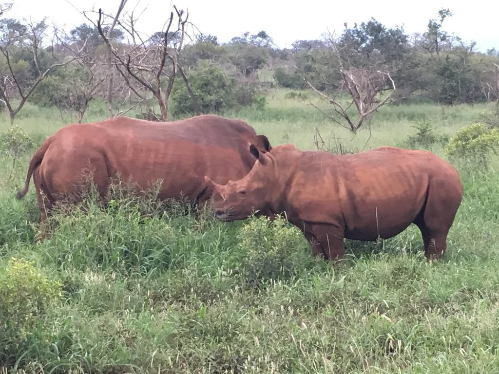 H23 Ezulwini Lodge in Sodwana Bay Zewnętrze zdjęcie
