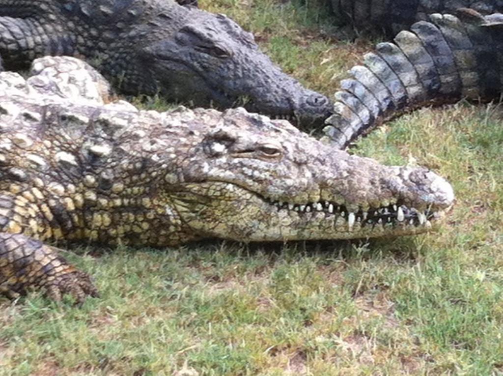 H23 Ezulwini Lodge in Sodwana Bay Zewnętrze zdjęcie