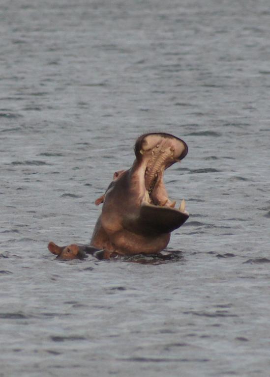 H23 Ezulwini Lodge in Sodwana Bay Zewnętrze zdjęcie