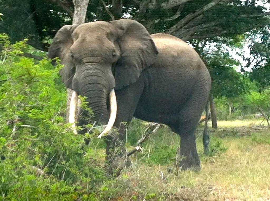 H23 Ezulwini Lodge in Sodwana Bay Zewnętrze zdjęcie
